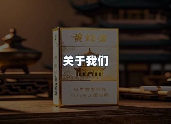 专业团队